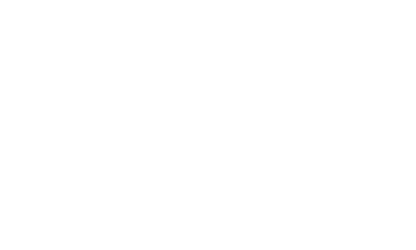 Logo White Altinoa